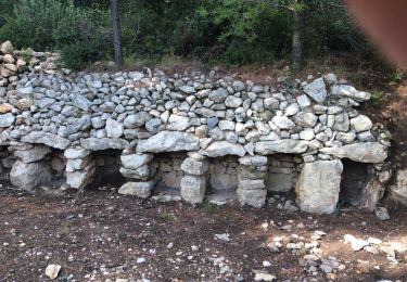 Randonnée Marche Lamanon - PF-Lamanon - Le Mur aux Abeilles - Photo