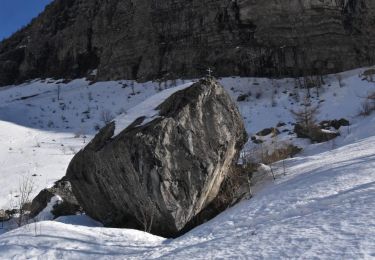 Excursión Raquetas de nieve Orcières - 2020-02-03_19h39m02_Orcieres-14-Prapic-Le-Tombeau-du-Poete-Joseph-Reymond-Vallon - Photo