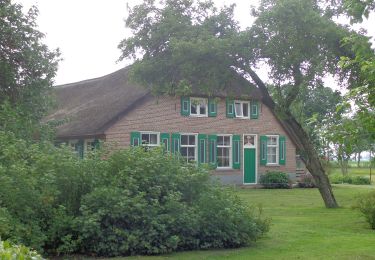 Tour Zu Fuß Staphorst - WNW Vechtdal - verbinding Z46-Z49-Z51-Z52 - Photo