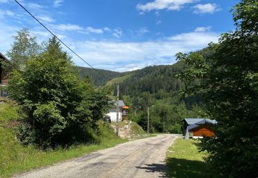 Tocht Stappen La Bresse - Bresse - Photo