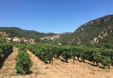 Trail Walking Vieussan - Tour de l’Ayrolle au départ de Vieussan. - Photo