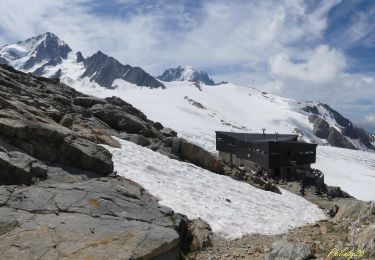 Trail Walking Chamonix-Mont-Blanc - Refuge Albert 1er - Photo