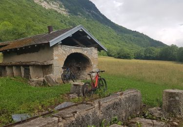 Tour Mountainbike Seyssins - L'Echaillon en boucle depuis Seyssins - Photo