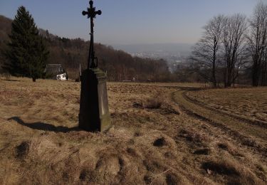 Tocht Te voet Světlá pod Ještědem - NS Ještědské vápence - Photo