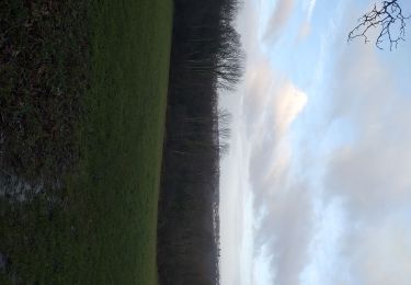 Randonnée Marche Serre-les-Sapins - serre les sapins la ménère - Photo