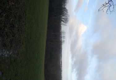 Tocht Stappen Serre-les-Sapins - serre les sapins la ménère - Photo