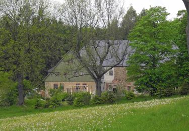 Percorso A piedi Neuhausen/Erzgebirge - Rundwanderweg Sayda - Photo