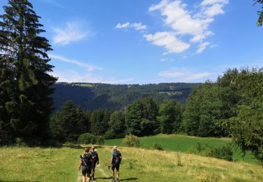 Trail Walking Moutier - Moutier  - Photo