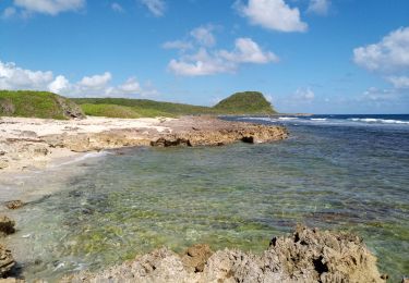 Tocht Stappen Saint-François - Morne Felicienne - Anse à la Croix - Photo