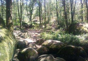 Trail Horseback riding Blond - Monts de Blond Rocher des Fées - Photo