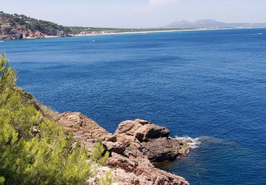 Tour Wandern Begur - Sa Riera 220722 - Photo