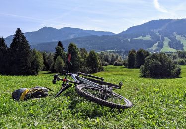 Tour Zu Fuß Oy-Mittelberg - Oy-Mittelberg - lokale beschilderte Wanderwege - Photo