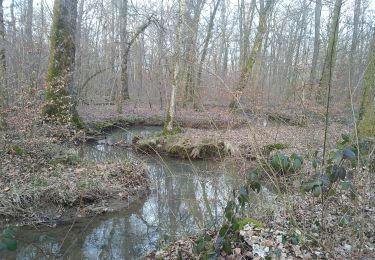 Tour Wandern Sentheim - Haut Soultzbach - Photo