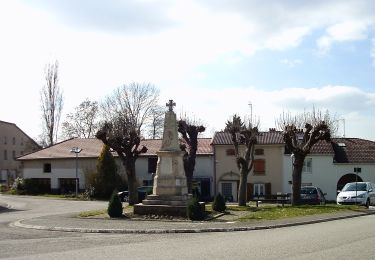 Randonnée A pied Mazirot - Sentier des Trois Fontaines - Photo