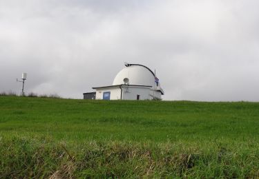 Tour Zu Fuß Brisighella - Petalo delle Stelle - Photo