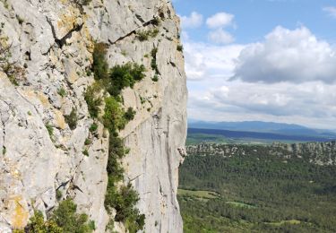 Trail Walking Saint-Mathieu-de-Tréviers - Pic St Loup  - Photo