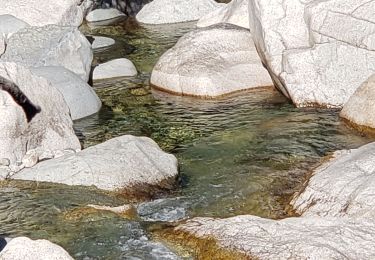 Percorso Marcia Vivario - très belle balade avec très belle vasque - Photo