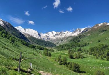 Tocht Stappen Val-d'Oronaye - Le Col de l'Arche - Photo