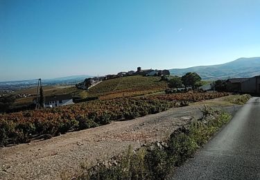 Trail Walking Odenas - Odenas St ETienne la varenne 69 - Photo