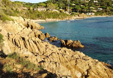 Tour Wandern Ramatuelle - Cap Lardier  - Photo