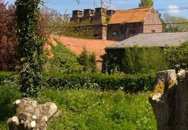 Trail Walking Zutkerque - la dame aux loups zutker.que - Photo