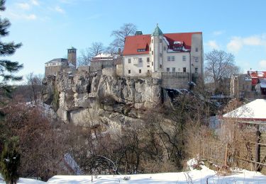 Excursión A pie Hohnstein - Lehrpfad Hohnstein - Photo