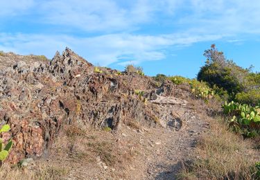 Tocht Stappen Port-Vendres - les batteries . collioure . fort sant elme . port vendres . cap gros - Photo