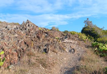 Tour Wandern Port-Vendres - les batteries . collioure . fort sant elme . port vendres . cap gros - Photo