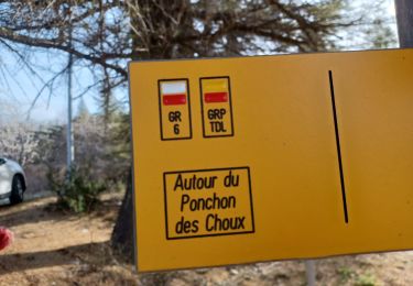 Trail Walking Saint-Étienne-les-Orgues - SAINT ETIENNE LES ORGUES . LE PONCHON DES CHOUX . 8 JAS O L  - Photo