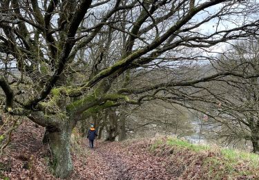 Excursión Senderismo Trooz - Forêt par Navette - Photo