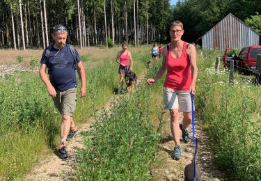 Trail Walking Martelange - Club canin chestrolais juin 2019 - Photo