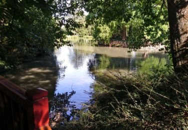 Excursión Senderismo Tours - Tours - Loire rive sud vers est - 11.5km - 2016 04 03 - Photo