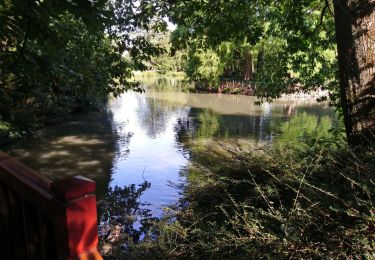 Tour Wandern Tours - Tours - Loire rive sud vers est - 11.5km - 2016 04 03 - Photo