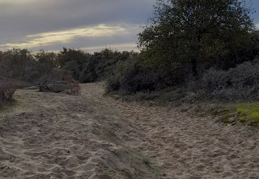 Percorso Marcia Camiers - Baie de Canches et retour par la mer - Photo