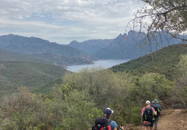 Trail Walking Osani - Jour 2 - Photo