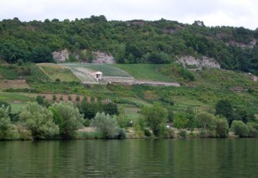 Excursión A pie Wasserliesch - Wasserliescher Panoramasteig - Photo