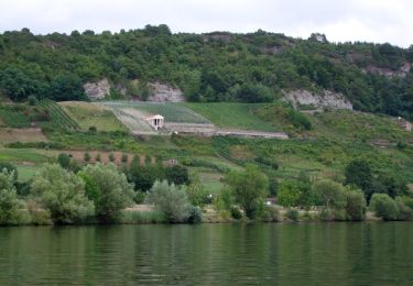 Tour Zu Fuß Wasserliesch - Wasserliescher Panoramasteig - Photo