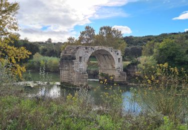 Tour Wandern Aubais - moulin-carriere-gallargues - Photo