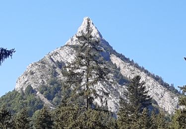 Trail Walking Bellecombe-en-Bauges - montagne du charbon : montée par la piste Reposoir. col de bornette . refuge de la combe / retour même itinéraire sauf par les champs et bois depuis bornette  - Photo