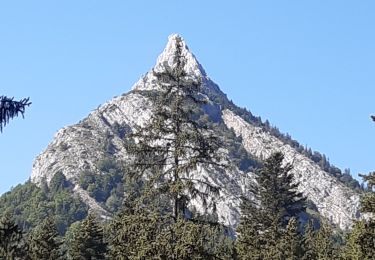 Percorso Marcia Bellecombe-en-Bauges - montagne du charbon : montée par la piste Reposoir. col de bornette . refuge de la combe / retour même itinéraire sauf par les champs et bois depuis bornette  - Photo