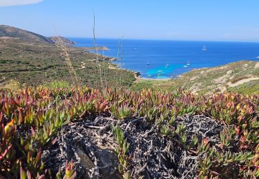 Trail Walking Calvi - ogliastrela, calvi - Photo