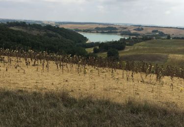 Trail Walking Belflou - Château de Belflou  - Photo