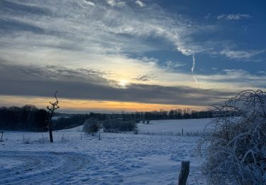 Tocht Mountainbike Aarlen - 7 - Photo