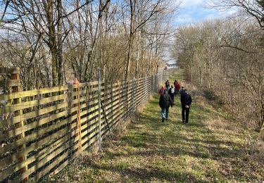 Tour Wandern Blessonville - Blessonville - Photo