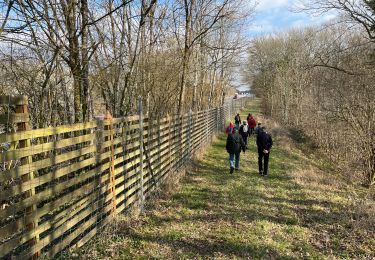 Tocht Stappen Blessonville - Blessonville - Photo