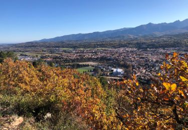 Tour Wandern Prades - 20201129 3 heures depuis Prades - Photo