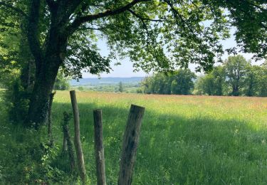 Trail Walking Le Cercueil - Le Cercueil  - Photo