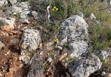 Tour Wandern Saint-Quentin-la-Poterie - Mont bouquet  - Photo