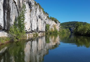 Randonnée Marche Saint-Cirq-Lapopie - RA 2019 Lot Tour de Saint Cirq - Photo