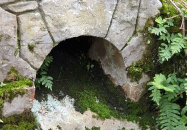 Tour Wandern Fontainebleau - Achères ve101123pm fmg - Photo